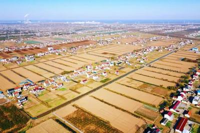 啟東鄉村游再登央視，沙地圩田文化與創新投資雙輪驅動